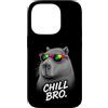 Gamer Coole Sprüche Lustiges Fun Shirt C Custodia per iPhone 14 Pro Chill Bro Cooler Capybara Occhiali da Sole Scritta Divertente Gamer