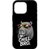 Gamer Coole Sprüche Lustiges Fun Shirt C Custodia per iPhone 16 Pro Chill Bro Cooler Capybara Occhiali da Sole Scritta Divertente Gamer