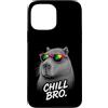Gamer Coole Sprüche Lustiges Fun Shirt C Custodia per iPhone 13 Pro Max Chill Bro Cooler Capybara Occhiali da Sole Scritta Divertente Gamer