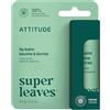 BIO SPECTRA ATTITUDE ATTITUDE Plastic-free Lip Balm, EWG Verified Plant- and Mineral-Based Ingredients, Vegan, Mint, 8.5 g
