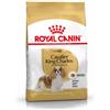 Royal Canin Cavalier King Charles Adult