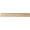 Righello in legno Save the Planet Personalizzate o neutre