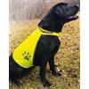 Korntex Gilet Riflettente per Cani Regolabile, Giallo, Poliestere Personalizzate o neutre