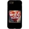 Doberman Puppy Lover PS Custodia per iPhone SE (2020) / 7/8 Il mio cane è il mio Valentine Doberman Street Graffiti