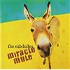 UNIVERSAL MUSIC GROUP Miracle Mule