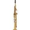 YAMAHA YSS-875EX Custom EX Sassofono Soprano Bb Gold Lacquer Dual Neck con Cu...