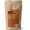 GymBeam Reishi BIO fungo commestibile polvere 100 g