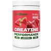 GymBeam Creatine Performance creatina monoidrato in polvere 400 g Polv