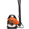 BOUDECH Soffiatore a Zaino 43cc 1.25Kw Semi-Professionale ed Ultra-Leggero con tracolle imbottite Max-Comfort e velocità di soffiaggio foglie fino a 150Km/h