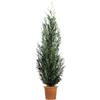 KENTIS - Cupressocyparis Leylandii Pyramidalis - Cipresso di Leyland Piramidale - Piante Vere da Esterno Siepe Sempreverde - H 200/220 cm Vaso Ø 30 cm
