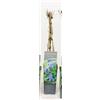 Generico Pianta di Clematis Alpina, Verde e Bianco, Vaso Alto 40 cm, 1 unità
