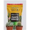 Generico Terriccio Specifico per Piante Grasse 1,5 Litri con 2 Piante Succulente in Vaso 6 cm, Pronto all'Uso