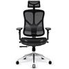 DIABLO V-Basic Sedia da ufficio Ergonomica Sedia Girevole con Supporto Lombare Integrato Braccioli 3D Poggiatesta Regolabile Funzione Dondolo Altezza Regolabile (Nero)