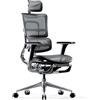 DIABLO V-Master Sedia da Ufficio Ergonomica da Scrivania Poggiapiedi Mesh 3D Braccioli Poggiatesta Sedile Regolabile Supporto Lombare Flessibile (Grigio-Nero)