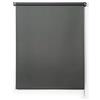 STORESDECO Tende a rullo per interni oscuranti per finestre e porte Tenda avvolgibile blackout isolante termica Installazione facile a parete o soffitto STORESDECO Grigio Verde 80x250 cm