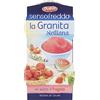 Lucgel Granita Siciliana Gusto Fragola Senso Freddo Pronta da Gelare Dolfin - 12 Pz da 100 ml -