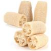 JSMTKJ 6 Pezzi Luffa Spugna, Luffa Naturale | per la cura del corpo e la rimozione della pelle mort per Fare il Bagno, Lavare i Piatti, Pulire la Cucina