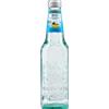 Gassosa Bio Galvanina 355ml - Bibite