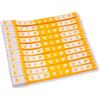 KEQAR 100 Braccialetti VIP per Eventi, Braccialetti per Feste, Braccialetti di Carta Impermeabili per Controllo e Sicurezza in Manifestazioni e Party (19 x 255mm) (Arancione)