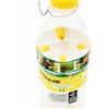 BricoLoco.com Bricoloco Kit Anti Pest per Alberi da frutto con Attractente di Feromoni Mosche della Frutta e Mosca dell'Ulivo. Bottiglia con Quattro Pastiglie e Gancio (5)