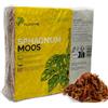 PlantMe Sphagnum muschio per piante d'appartamento e tralicci, produce 10 l (1000 g)