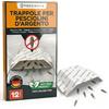 Proxinova Trappole Pesciolini d'argento - Trappola Pesciolini D'argento con Esca Naturale Adesiva per Monitoraggio Infestazioni Fino a 12 Settimane - 12 Pezzi - Made in Germany