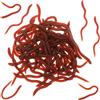 Matwsec 50 vermi finti morbidi per trota, vermi lombrichi, 8,5 cm, in gomma elastica, realistici, per trucchi e pesca, esche per Halloween e feste