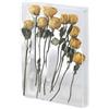 DAZZLEEX Cornice per fiori cava in acrilico fai da te, per esporre fiori secchi o conchiglie, materiale trasparente migliora la luce e l'aspetto, dimensioni della cornice 26 x 31 cm (trasparente)