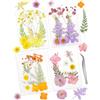 Cinvo 40pcs Vera goffratura Secco e Foglie petali secchi naturali Fare Candele con Pinze in resina Gioielli Sapone Unghie pendenti Caso del telefono Artigianato
