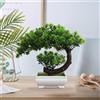 AIZHAZHA Bonsai Finto da Interno, 25x22 cm Bonsai Artificiale Realistico, Pianta Finta da Interno, Albero Finto, Planta Artificial Bonsai Decorazioni
