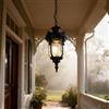 XINYASEE Lampade a sospensione all'aperto, luce del pendente del giardino del corridoio del balcone della villa all'aperto del Gazebo impermeabile E27 base a spirale (PDWP-12-Noir)