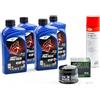 Gazoobike Kit di manutenzione cambio olio per BMW R 1250 GS Adventure dal 2019 al 2018 - E.LF MOTO 4 PRO TECH 5w40 4L