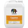Generico Antimuffa CAPATOX Igienizzante 1lt