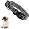 Ferplast Collare Cani Regolabile in Plastica Riciclata da Bottiglie in Pet, Fibbia e Anello in Metallo, (Circonferenza Collo 26-40 cm), Taglia S, Grigio