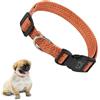Ferplast Collare Cani Regolabile in Plastica Riciclata da Bottiglie in Pet, Fibbia e Anello in Metallo, (Circonferenza Collo 26-40 cm), Taglia S, Arancio