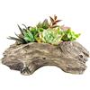 Aclema Stump Fioriere per piante grasse vasi da fiori per piante da interno ed esterno, grazioso vaso da giardino in resina con foro di drenaggio