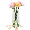 CiciIng Vaso di vetro per fiori, vaso di vetro trasparente moderno Ins, vaso di vetro alto 22 CM per la decorazione della tavola, vasi decorativi per erba di pampa, tulipani, orchidee, rose (trasparente)