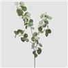 EDG Enzo De Gasperi Ramo eucalipto H 110 Cm Verde