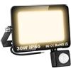 Willpower Faro LED Esterno con Sensore di Movimento 30W 3000LM Faretto LED Bianca Caldo 3500K Proiettore LED IP66 85V-265V Luce di Sicurezza per Giardino Cortile Garage Patio Corridoio