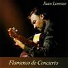 Felmay Flamenco De Concierto