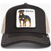 Goorin Bros Goorin Bad Boy Trucker Void/Palm Cap Rottweiler Verdone