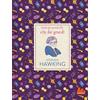 Gallucci Stephen Hawking