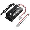 LiTime Caricabatterie 12V 40A, montabile per batteria al litio LiFePO4 da 12V, con indicatore LED e interruttore on/off, spina Anderson, caricatore intelligente AC-DC per batterie al litio