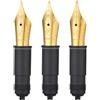 Asvine Set di 3 pennini di ricambio per penna stilografica per serie P36, P50, P80 e V200, pennini placcati oro #6 EF/F/M