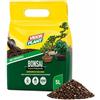 AGRICOLA GIRALDI 5 LITRI Terriccio Bonsai di Conifere e Latifoglie - Substrato con Pomice Vulcanica e Argilla - OTTIMO Drenante e Aerato per Radici Sane - Ideale per Rinvaso e Coltivazione in Vaso