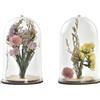 Redesyn DECORACION FLOR SECA CRISTAL 6X6X9 2 SURT.