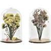 Redesyn DECORACION FLOR SECA CRISTAL 8X8X13 2 SURT.