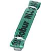 Beta 8153 1-T2 - Braca per sollevamento 2t verde nastro piatto a due strati, asole rinforzate, poliestere alta tenacità (PES)