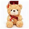 FGen Orsacchiotto per la Laurea, 23 cm, Orsetto di Peluche, Regali Laurea, Diploma e Cappello di Dottore, per Scuola Laurea Decoro, Regali di Laurea per Studenti (Cappello rosso, marrone chiaro)