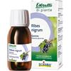 BOIRON Srl BO.RIBES NIGRUM 1DH MG 60ml